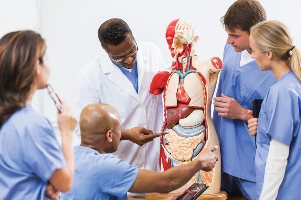 Hands-on Cadaver & Clinical Anatomy Training